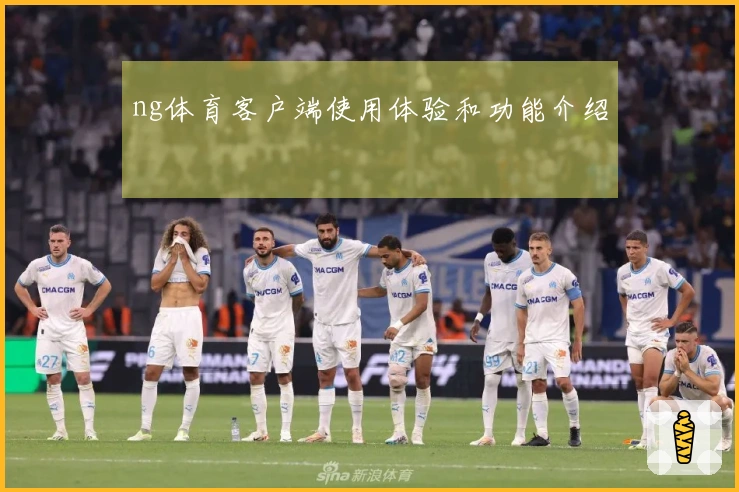 ng体育客户端使用体验和功能介绍