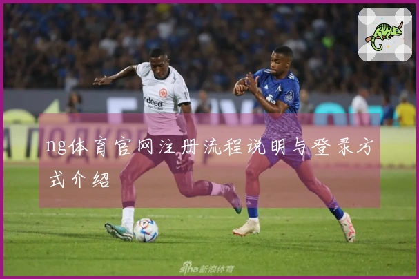 ng体育官网注册流程说明与登录方式介绍