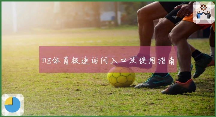 ng体育极速访问入口及使用指南
