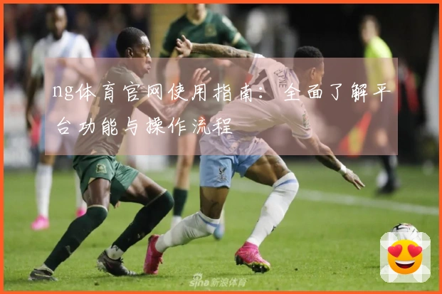 ng体育官网使用指南：全面了解平台功能与操作流程