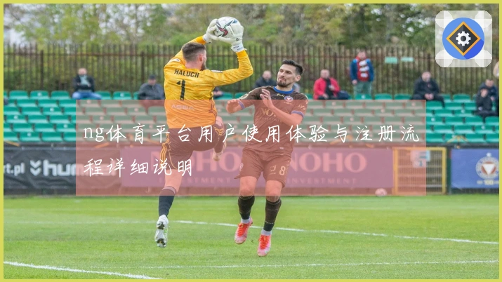 ng体育平台用户使用体验与注册流程详细说明